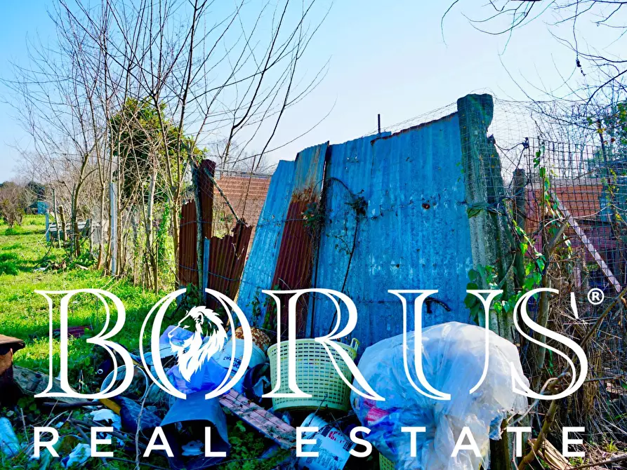 Immagine 6 di Terreno agricolo in vendita  in Via Enrico De Nicola a Trentola Ducenta