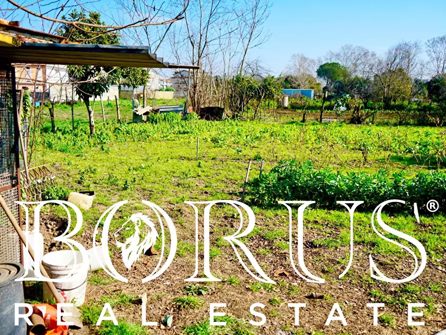 Immagine 7 di Terreno agricolo in vendita  in Via Enrico De Nicola a Trentola Ducenta