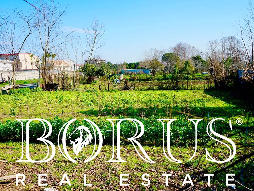 Immagine 8 di Terreno agricolo in vendita  in Via Enrico De Nicola a Trentola Ducenta