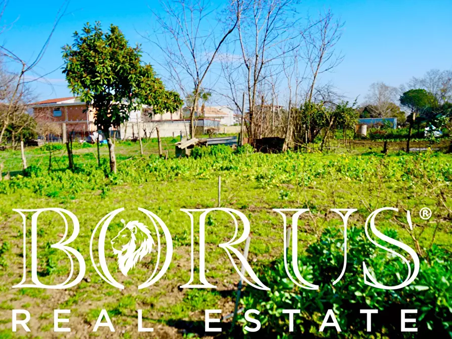 Immagine 9 di Terreno agricolo in vendita  in Via Enrico De Nicola a Trentola Ducenta