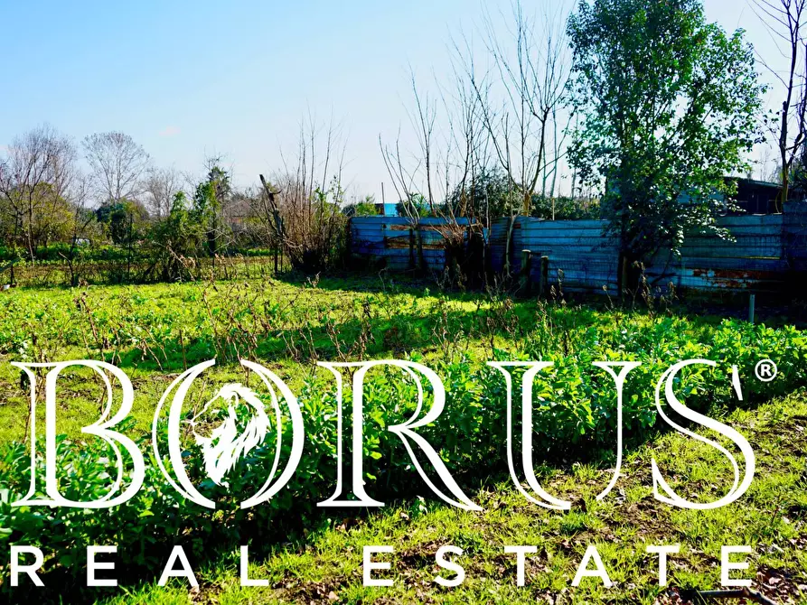 Immagine 10 di Terreno agricolo in vendita  in Via Enrico De Nicola a Trentola Ducenta