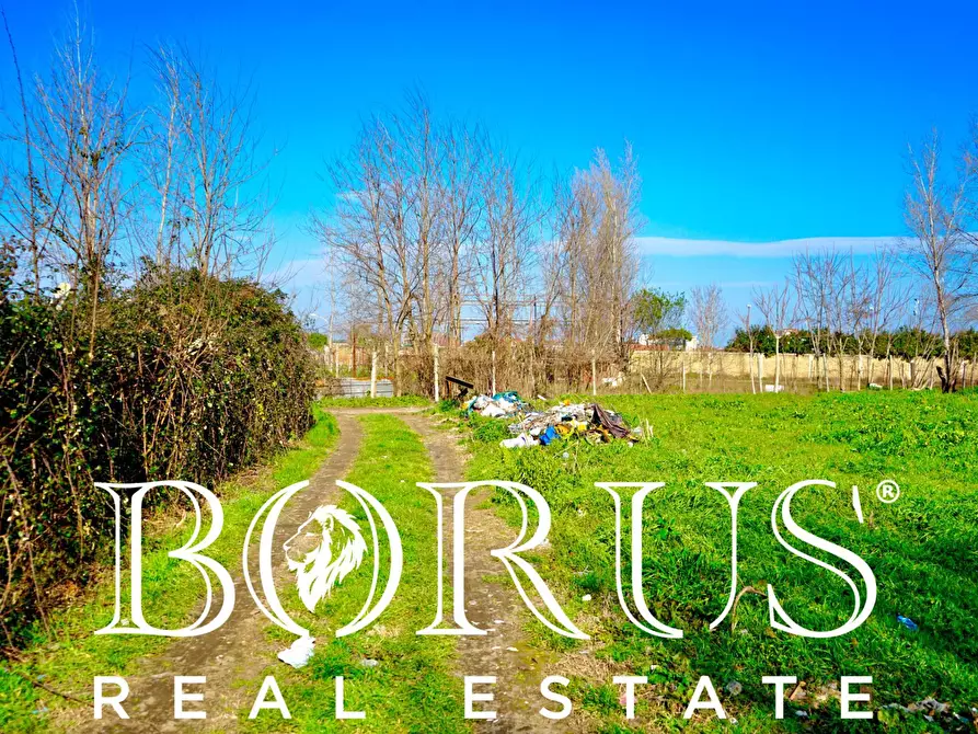 Immagine 11 di Terreno agricolo in vendita  in Via Enrico De Nicola a Trentola Ducenta