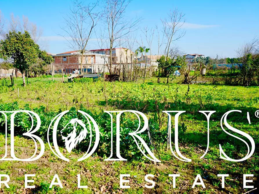 Immagine 12 di Terreno agricolo in vendita  in Via Enrico De Nicola a Trentola Ducenta