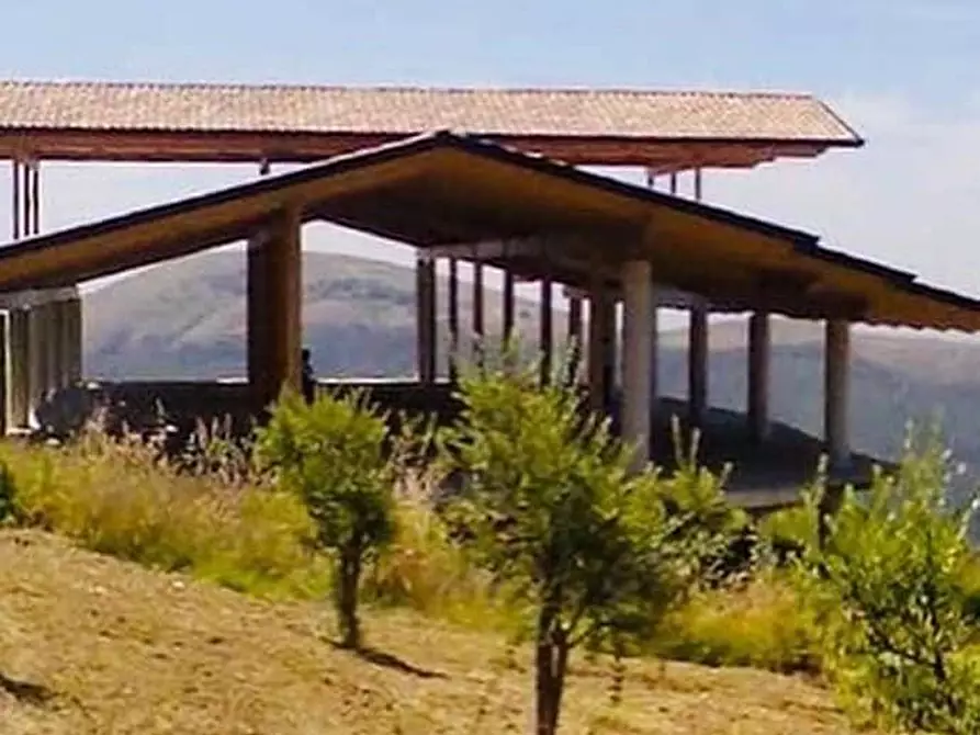 Immagine 5 di Rustico / casale in vendita  a Calvi Risorta