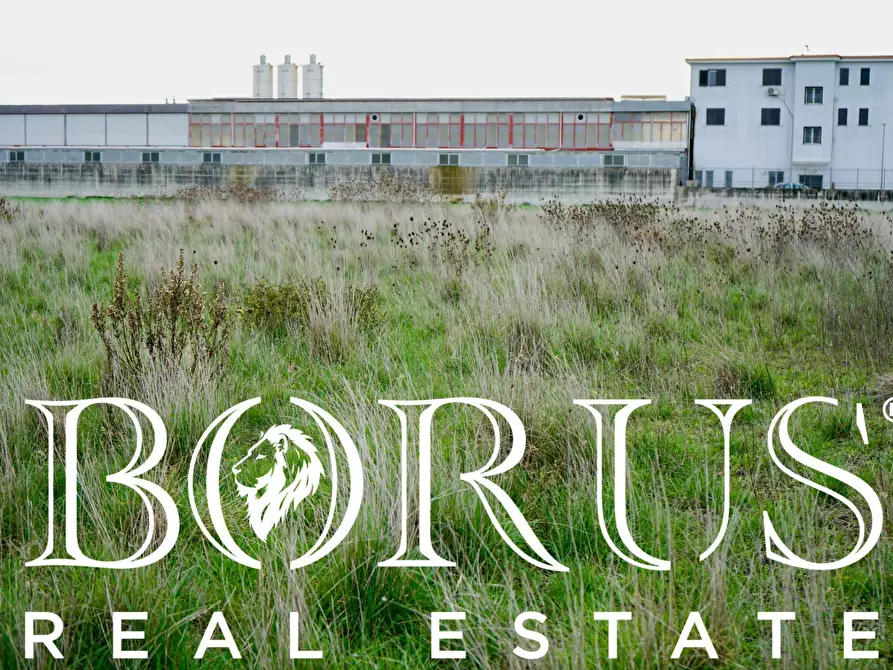 Immagine 4 di Terreno agricolo in vendita  a Castel Volturno