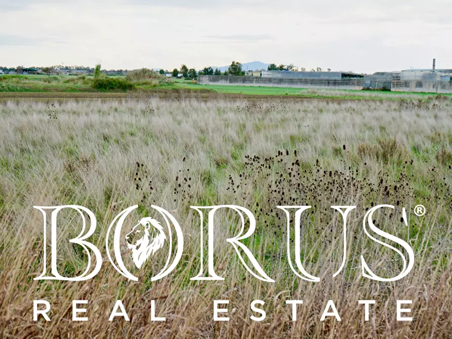 Immagine 6 di Terreno agricolo in vendita  a Castel Volturno