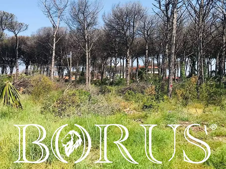 Immagine 2 di Terreno agricolo in vendita  in Viale Pitloò a Cancello Ed Arnone