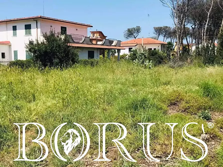 Immagine 3 di Terreno agricolo in vendita  in Viale Pitloò a Cancello Ed Arnone