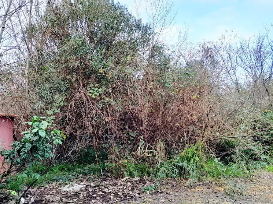 Immagine 11 di Casa indipendente in vendita  in Via Potenza a Castel Volturno