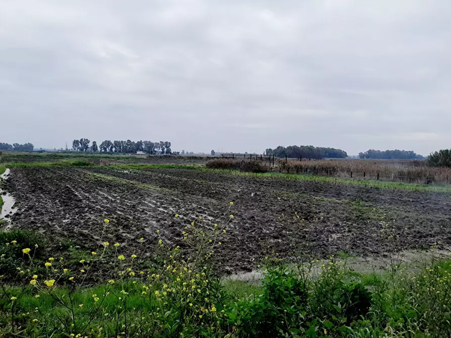 Immagine 26 di Casa indipendente in vendita  in Via Potenza a Castel Volturno