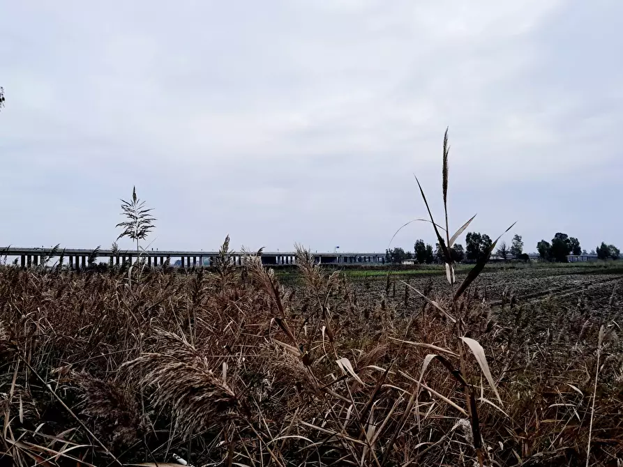 Immagine 28 di Casa indipendente in vendita  in Via Potenza a Castel Volturno