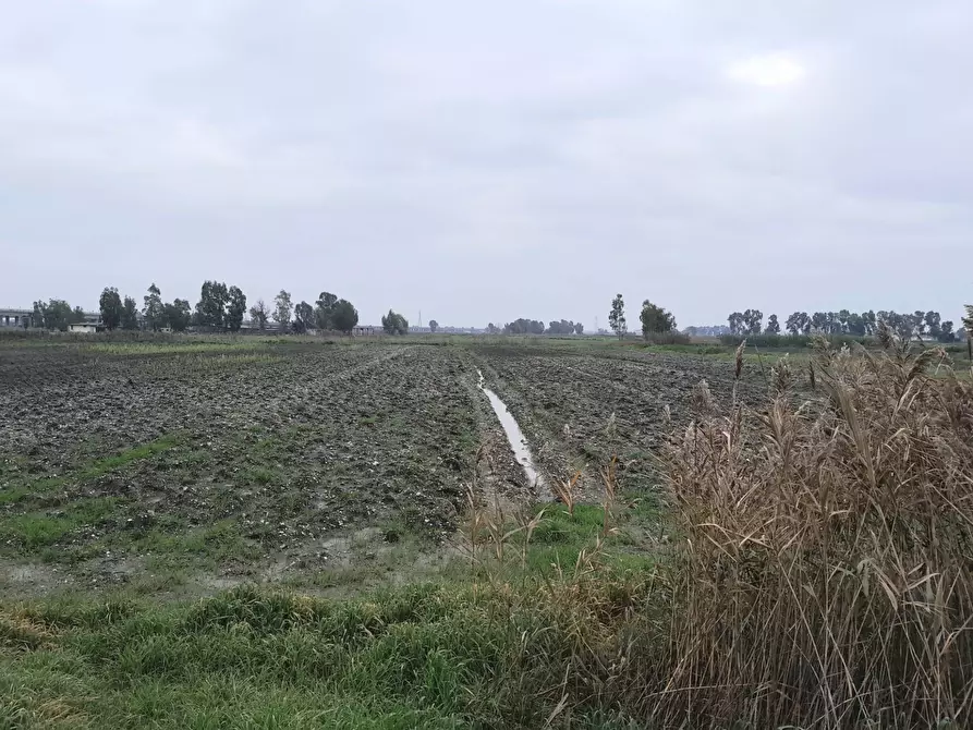 Immagine 31 di Casa indipendente in vendita  in Via Potenza a Castel Volturno