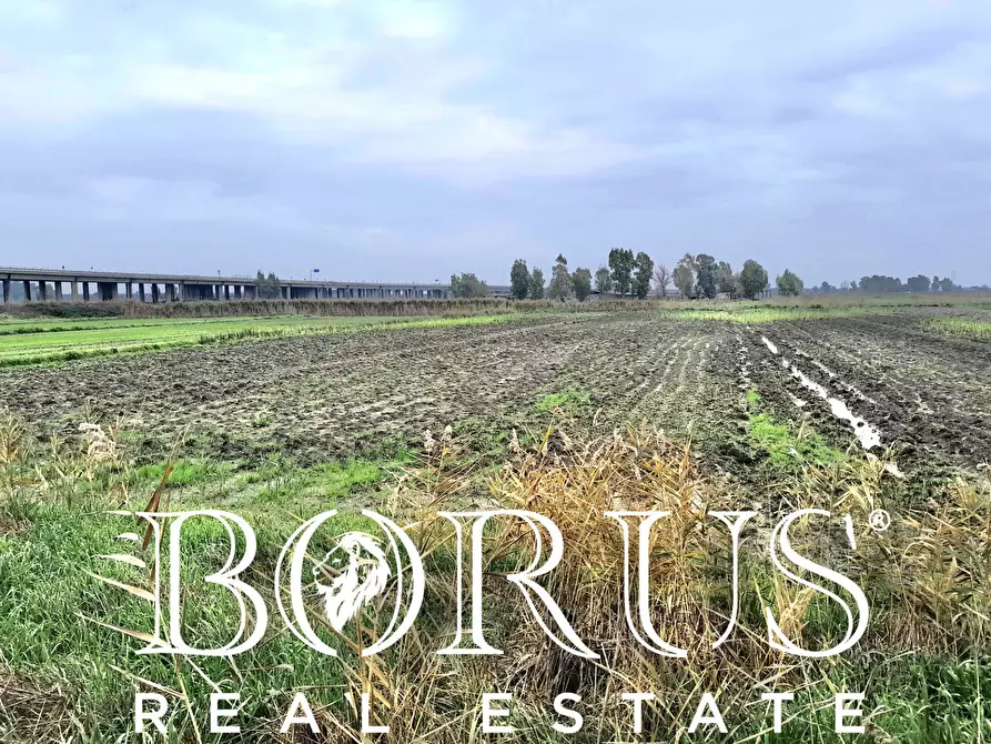 Immagine 2 di Terreno agricolo in vendita  a Castel Volturno