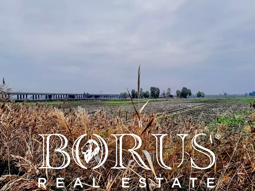 Immagine 3 di Terreno agricolo in vendita  a Castel Volturno