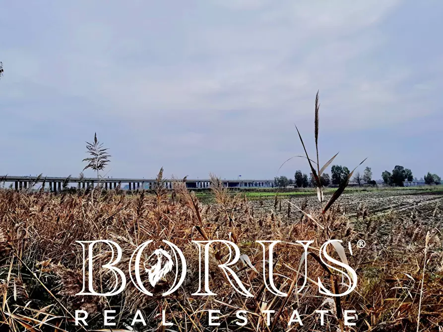 Immagine 5 di Terreno agricolo in vendita  a Castel Volturno