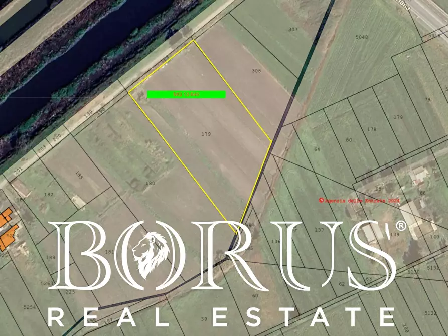 Immagine 7 di Terreno agricolo in vendita  a Castel Volturno