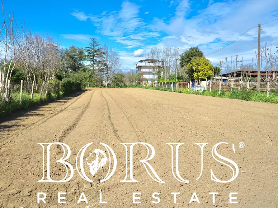 Immagine 2 di Terreno agricolo in vendita  a Sant'arpino