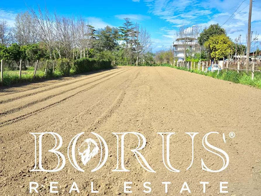 Immagine 3 di Terreno agricolo in vendita  a Sant'arpino