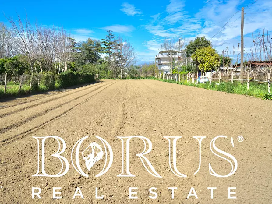 Immagine 4 di Terreno agricolo in vendita  a Sant'arpino