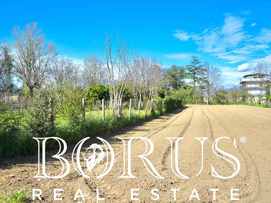 Immagine 5 di Terreno agricolo in vendita  a Sant'arpino