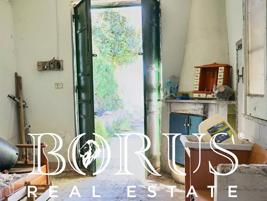 Immagine 7 di Terreno agricolo in vendita  a Sant'arpino