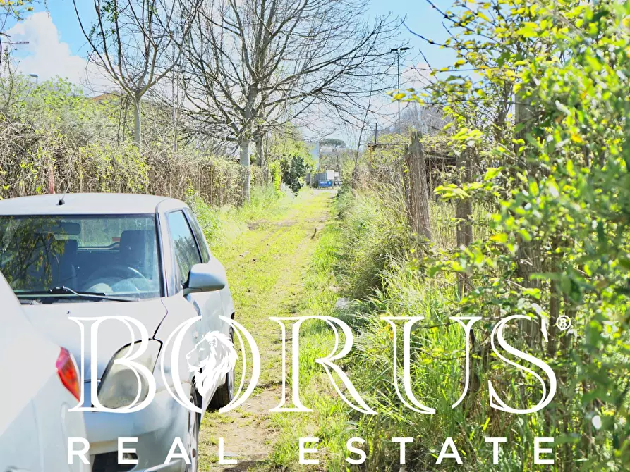 Immagine 8 di Terreno agricolo in vendita  a Sant'arpino