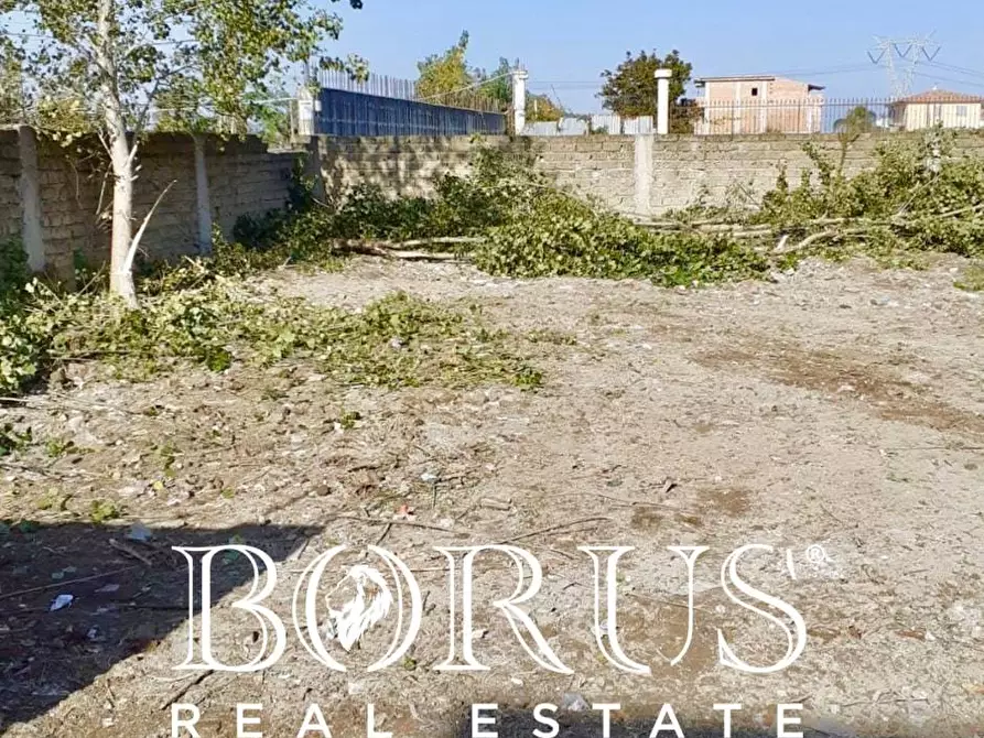 Immagine 3 di Terreno agricolo in vendita  a Casal Di Principe