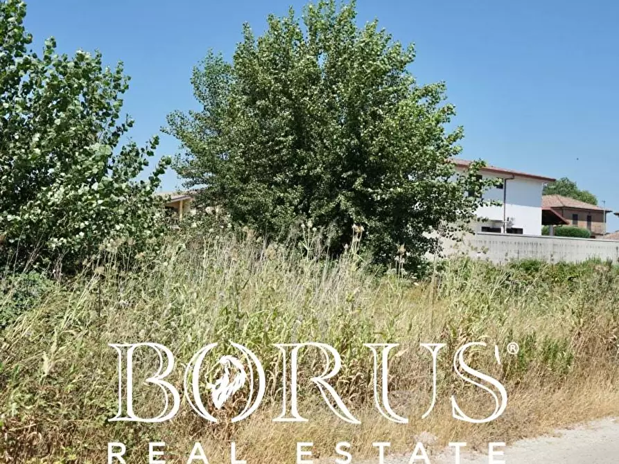 Immagine 5 di Terreno agricolo in vendita  a Casal Di Principe