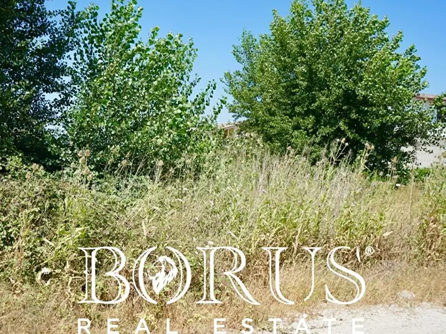 Immagine 6 di Terreno agricolo in vendita  a Casal Di Principe