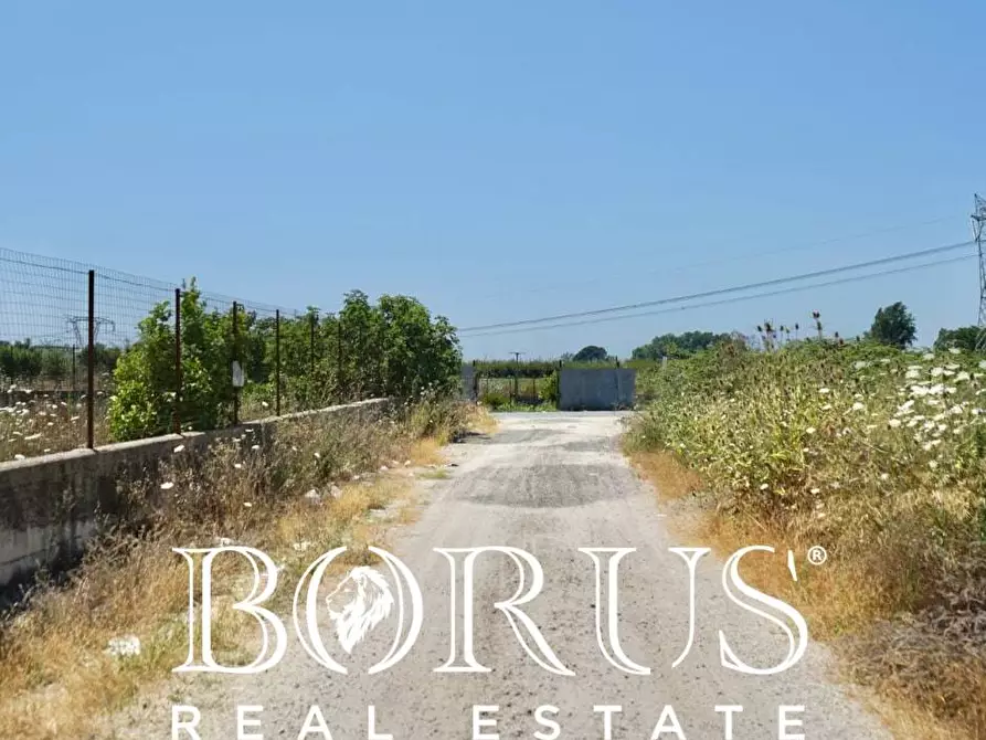 Immagine 7 di Terreno agricolo in vendita  a Casal Di Principe