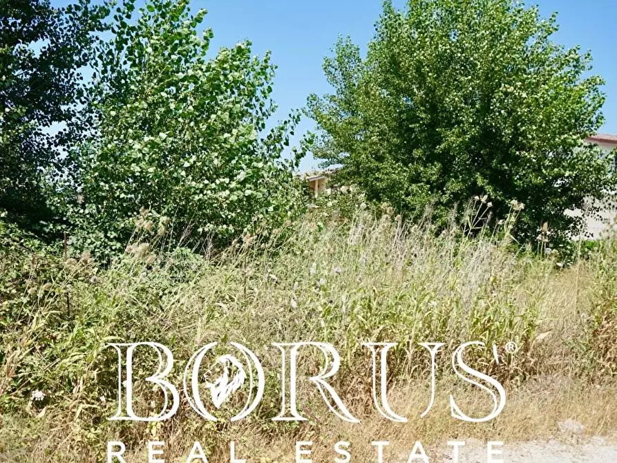 Immagine 8 di Terreno agricolo in vendita  a Casal Di Principe