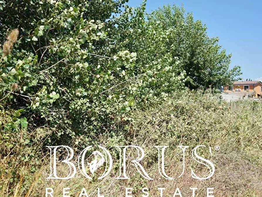 Immagine 9 di Terreno agricolo in vendita  a Casal Di Principe