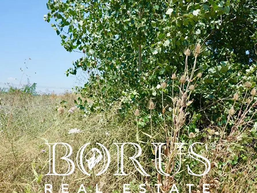 Immagine 10 di Terreno agricolo in vendita  a Casal Di Principe