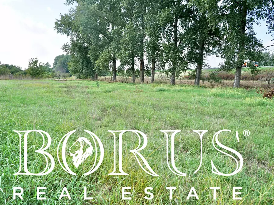 Immagine 3 di Terreno agricolo in vendita  a Casal Di Principe