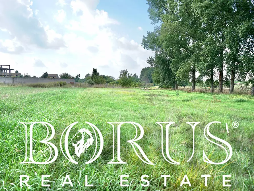 Immagine 2 di Terreno agricolo in vendita  a Casal Di Principe