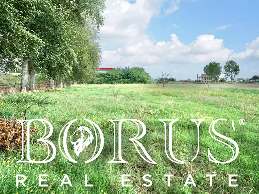 Immagine 4 di Terreno agricolo in vendita  a Casal Di Principe