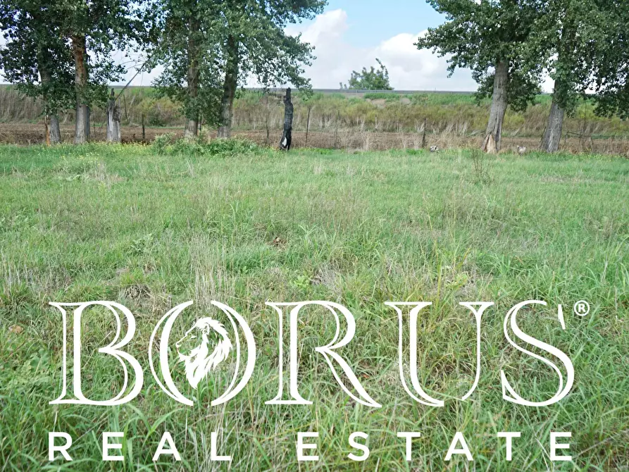 Immagine 5 di Terreno agricolo in vendita  a Casal Di Principe