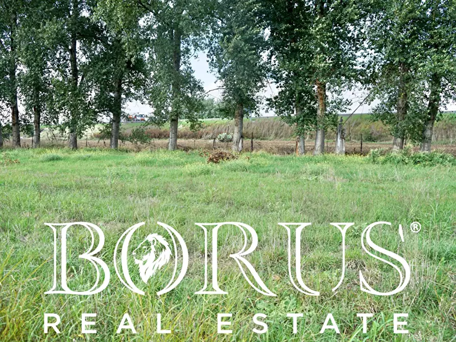 Immagine 6 di Terreno agricolo in vendita  a Casal Di Principe