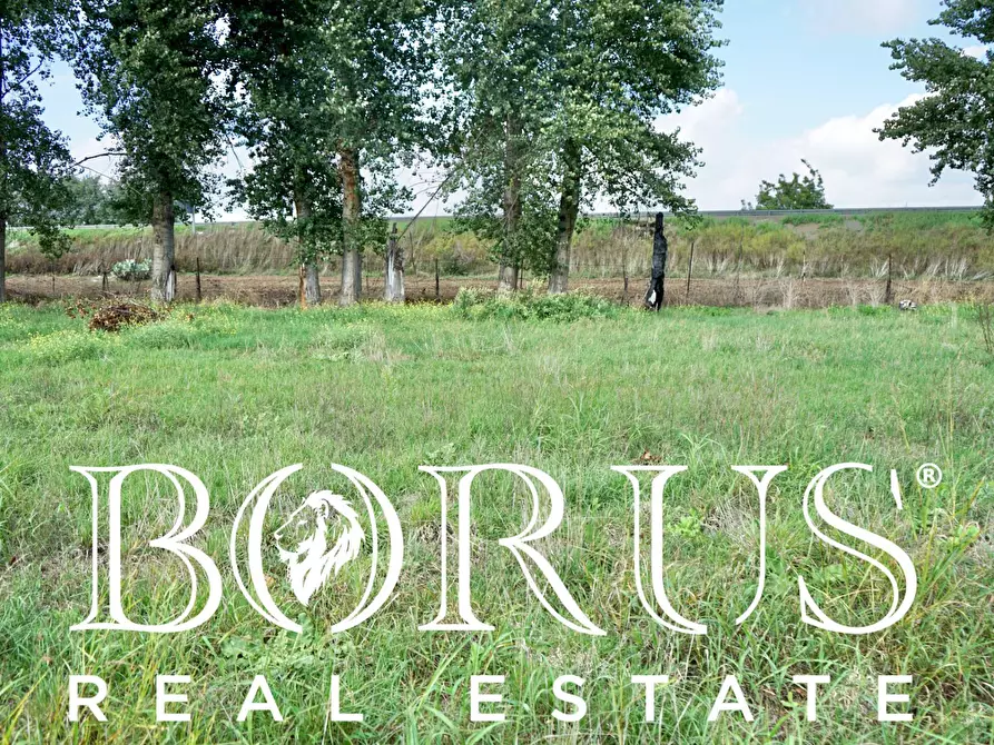 Immagine 7 di Terreno agricolo in vendita  a Casal Di Principe