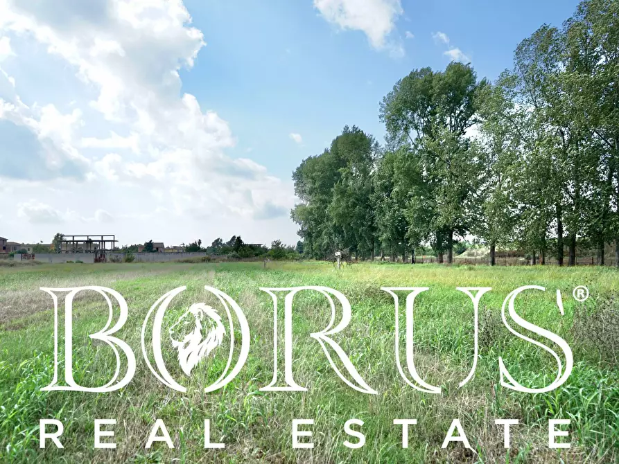 Immagine 8 di Terreno agricolo in vendita  a Casal Di Principe