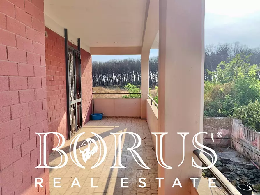 Immagine 30 di Appartamento in vendita  in Via Giovanni Boccaccio a Cancello Ed Arnone