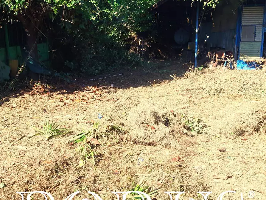 Immagine 3 di Terreno agricolo in affitto  in Via Appia a Giugliano In Campania