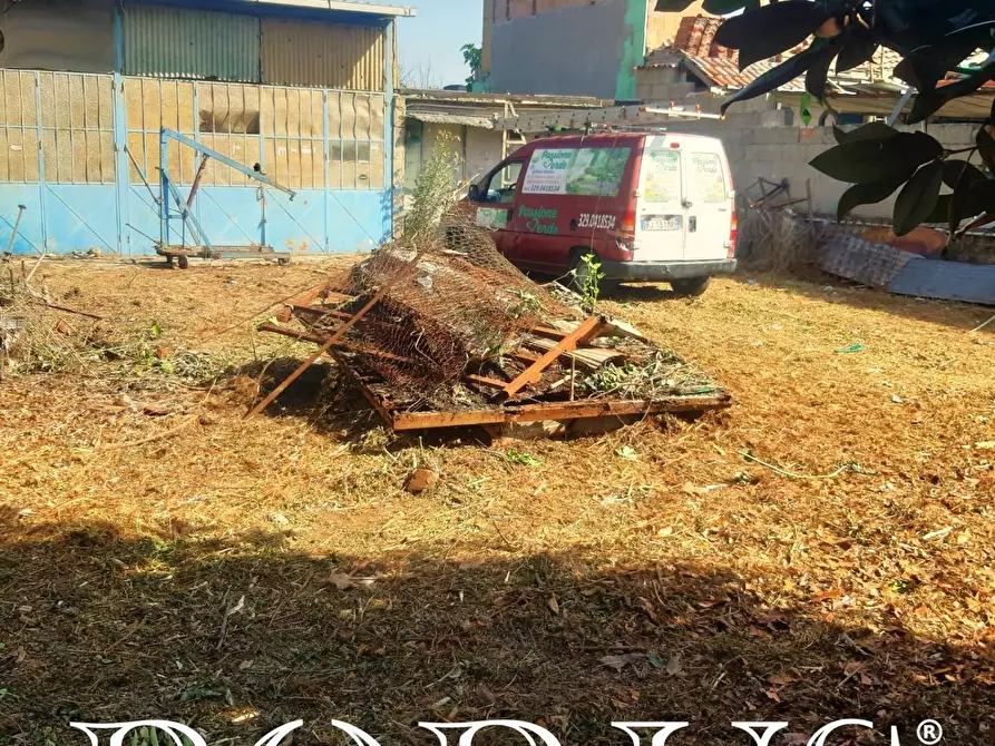 Immagine 4 di Terreno agricolo in affitto  in Via Appia a Giugliano In Campania