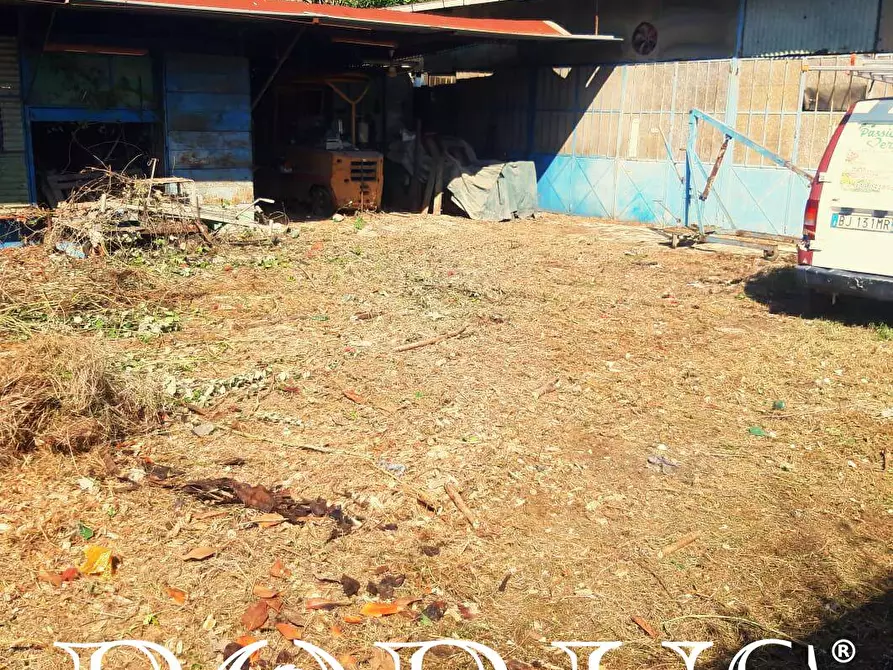 Immagine 5 di Terreno agricolo in affitto  in Via Appia a Giugliano In Campania