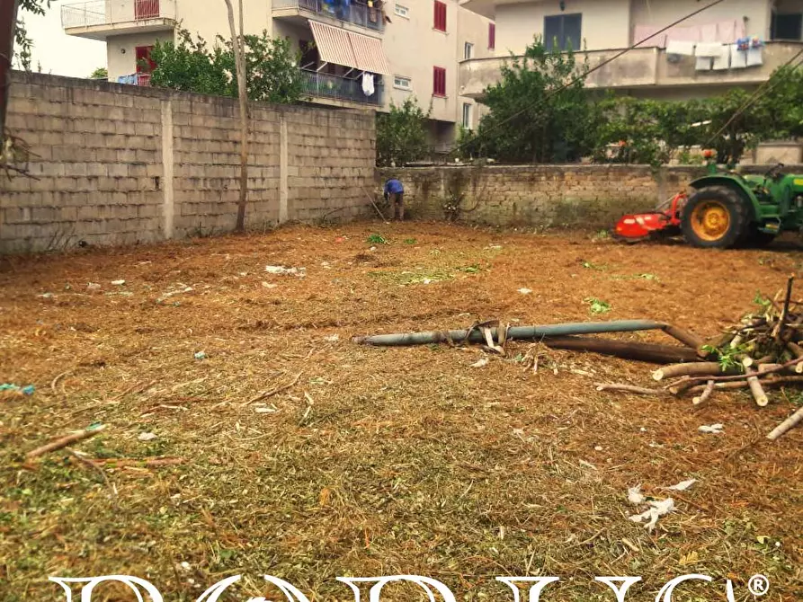 Immagine 9 di Terreno agricolo in affitto  in Via Appia a Giugliano In Campania