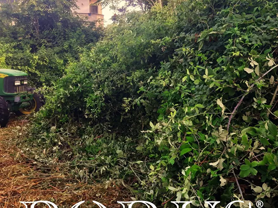 Immagine 10 di Terreno agricolo in affitto  in Via Appia a Giugliano In Campania
