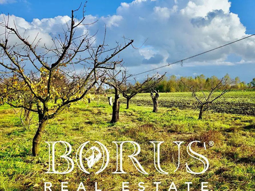 Immagine 2 di Terreno agricolo in vendita  a Teverola