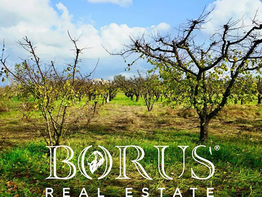 Immagine 18 di Terreno agricolo in vendita  a Teverola