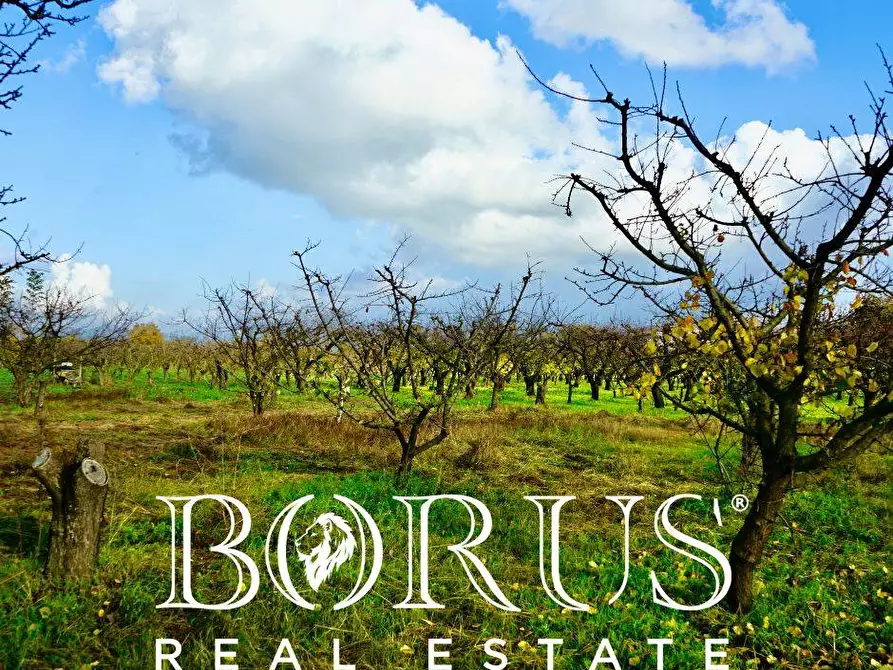 Immagine 19 di Terreno agricolo in vendita  a Teverola