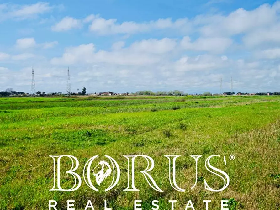 Immagine 5 di Terreno residenziale in vendita  in Via Porchiera a Villa Literno